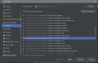軟件開發的廣闊領域與多元路徑